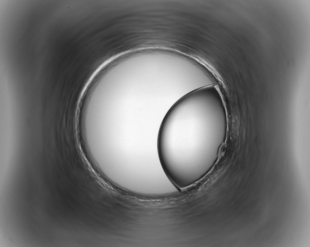 X0000087600976200704271040