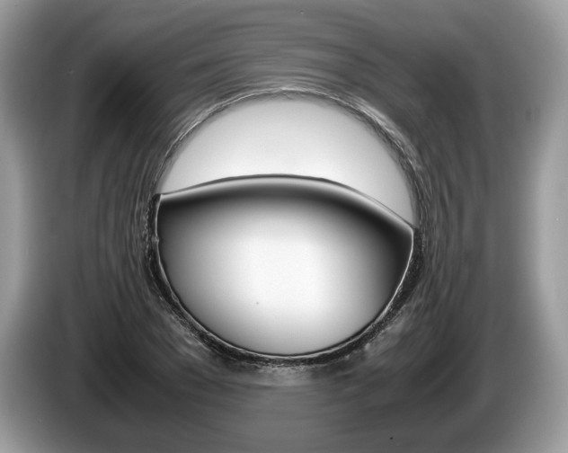 X0000087600977200704271040