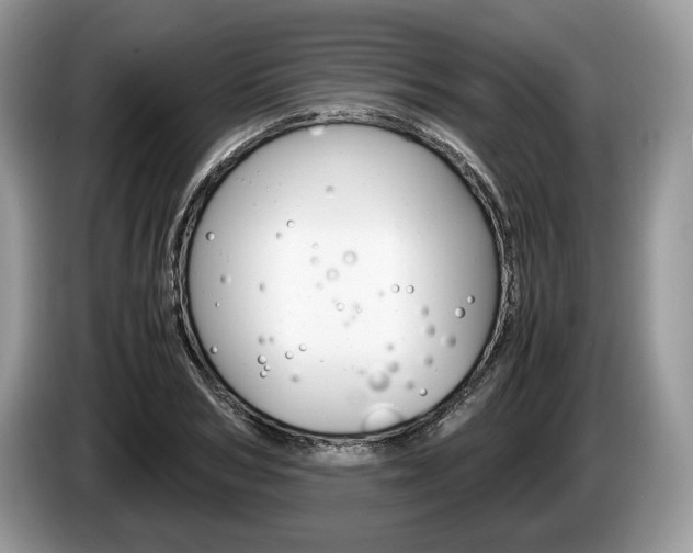 X0000087600978200704271040