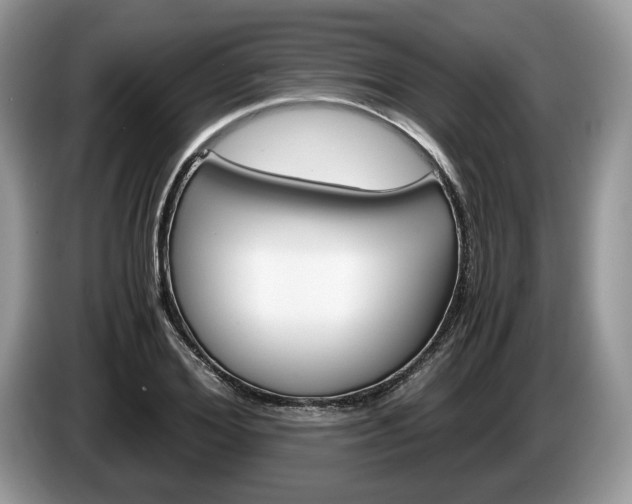 X0000087600980200704271040