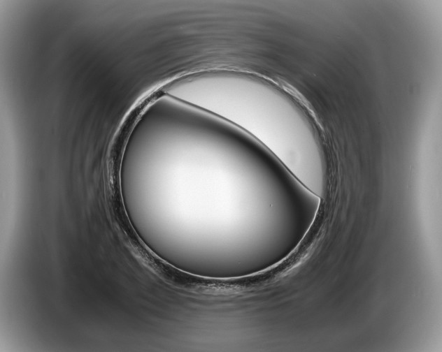 X0000087600981200704271040