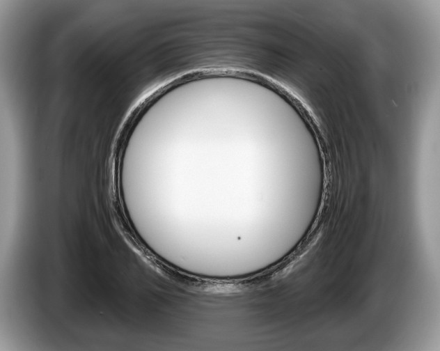 X0000087600982200704271040