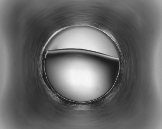 X0000087600984200704271040