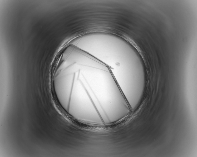 X0000087600986200704271040