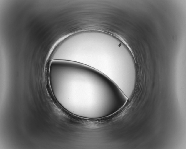 X0000087600987200704271040