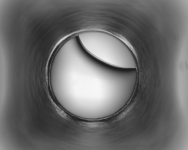 X0000087600988200704271040