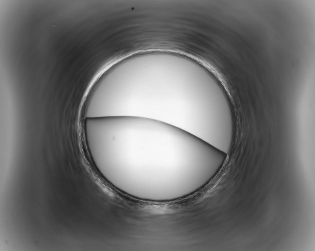 X0000087600990200704271040