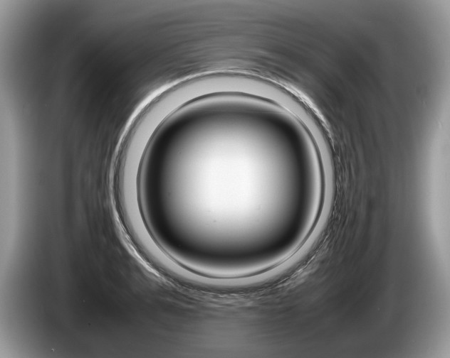 X0000087600991200704271040