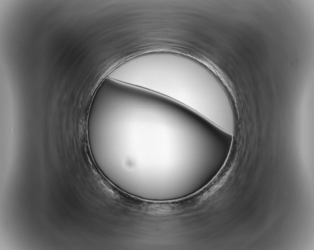 X0000087600993200704271040