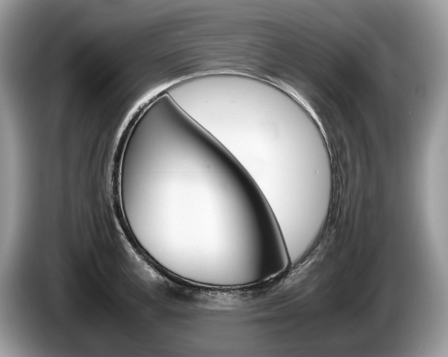 X0000087600995200704271040