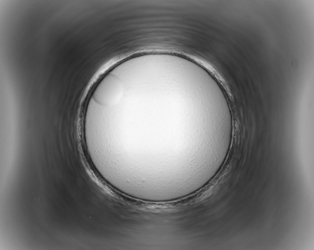 X0000087600998200704271040