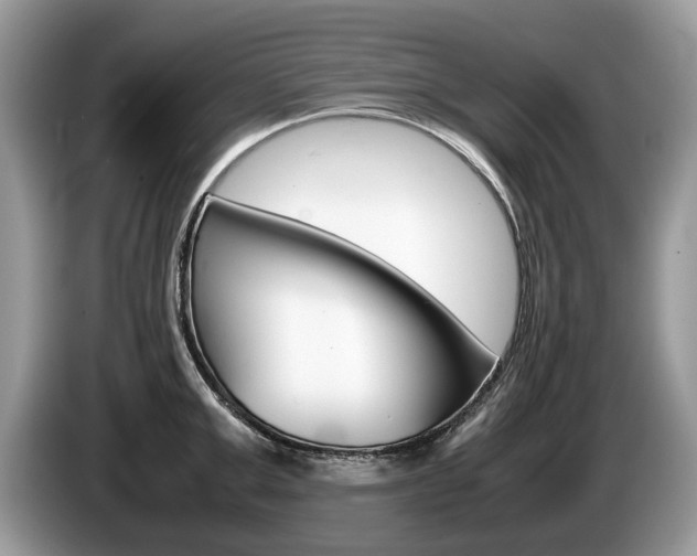 X0000087600999200704271040