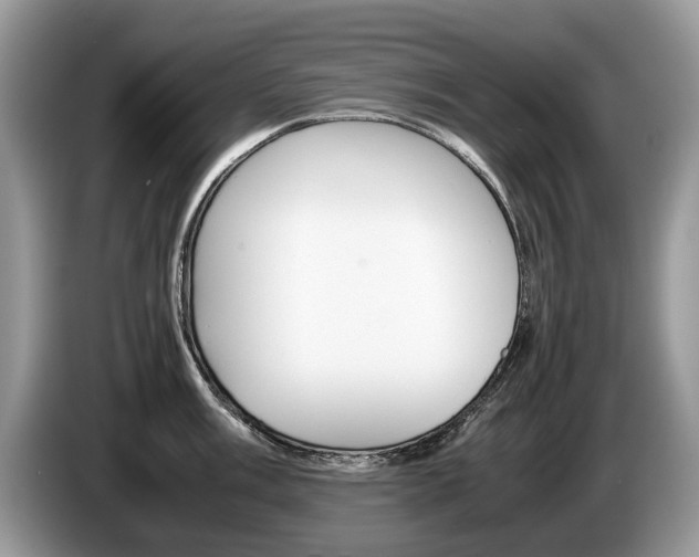 X0000087601003200704271040