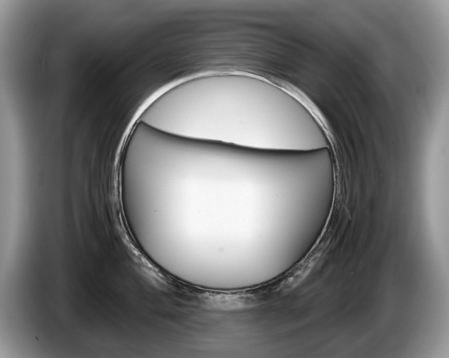 X0000087601004200704271040