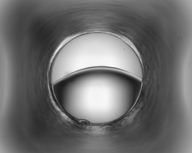 X0000087601005200704271040