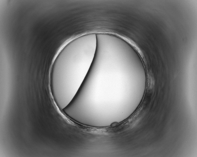X0000087601006200704271040