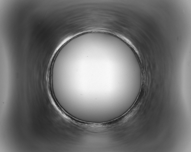 X0000087601007200704271040