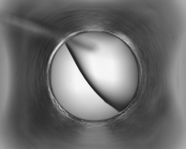 X0000087601008200704271040
