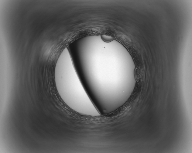 X0000087601009200704271039