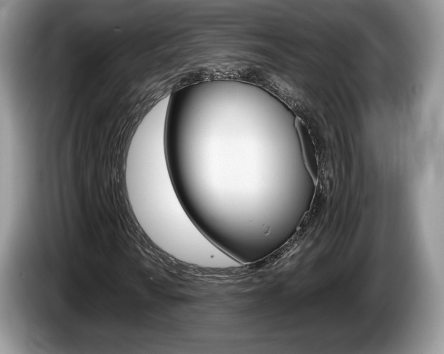 X0000087601010200704271039