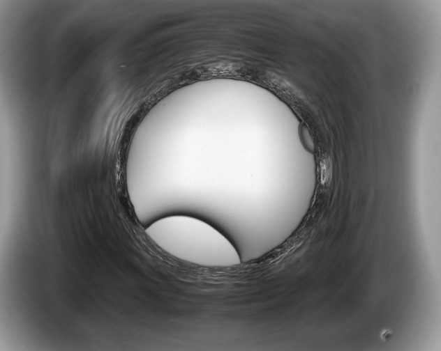 X0000087601011200704271039