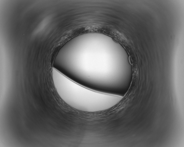 X0000087601012200704271039