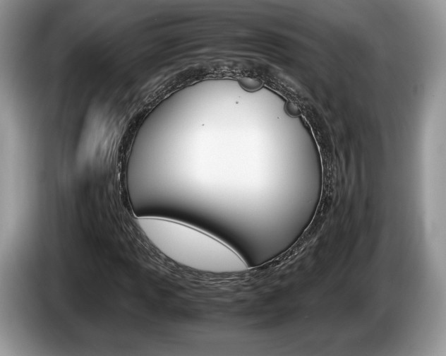 X0000087601013200704271039