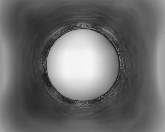 X0000087601015200704271039