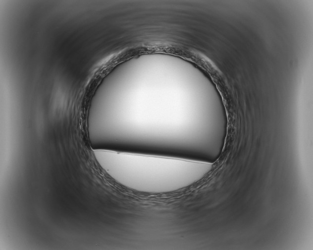 X0000087601016200704271039