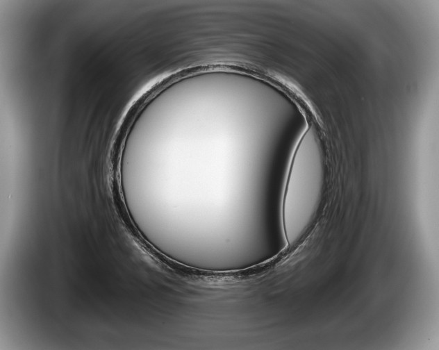 X0000087601024200704271039