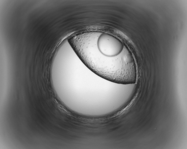 X0000087601025200704271039