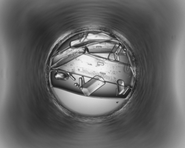 X0000087601026200704271039