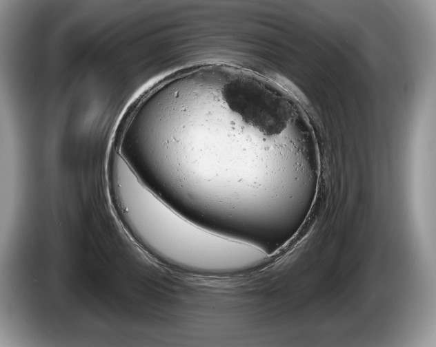 X0000087601028200704271039