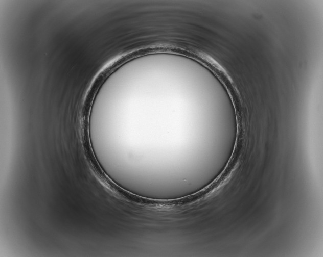 X0000087601029200704271039