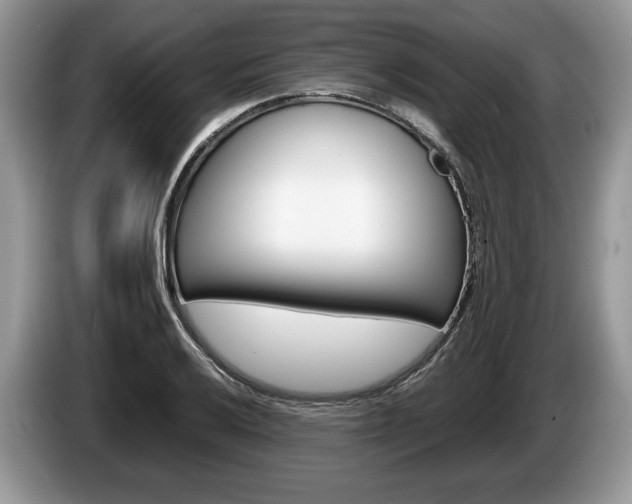X0000087601032200704271039