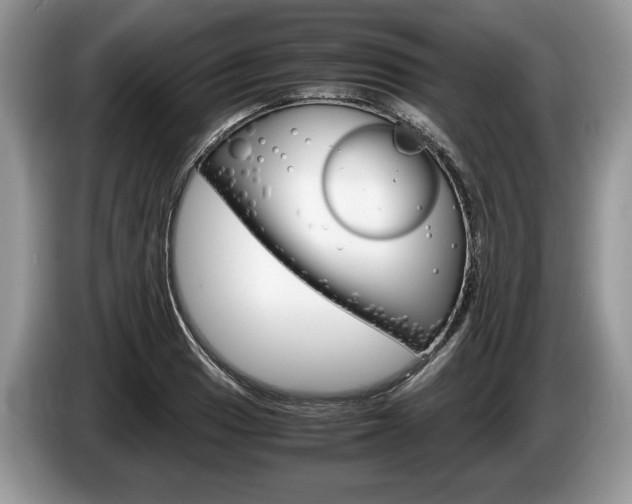 X0000087601033200704271039