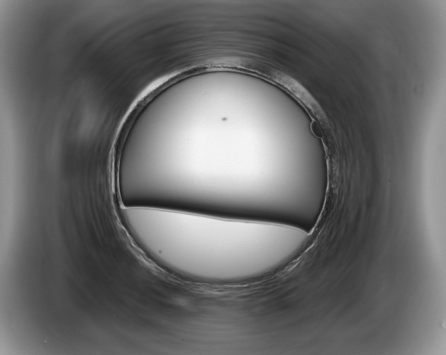 X0000087601036200704271039