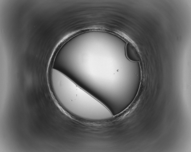 X0000087601037200704271039
