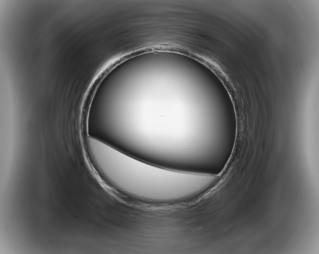 X0000087601038200704271039