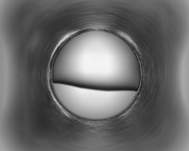 X0000087601040200704271039