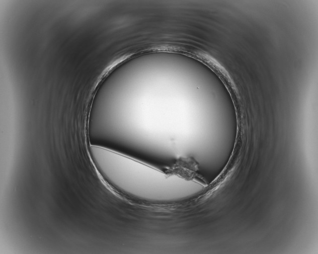 X0000087601041200704271039