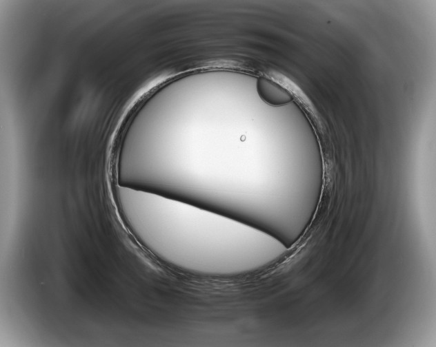 X0000087601043200704271039