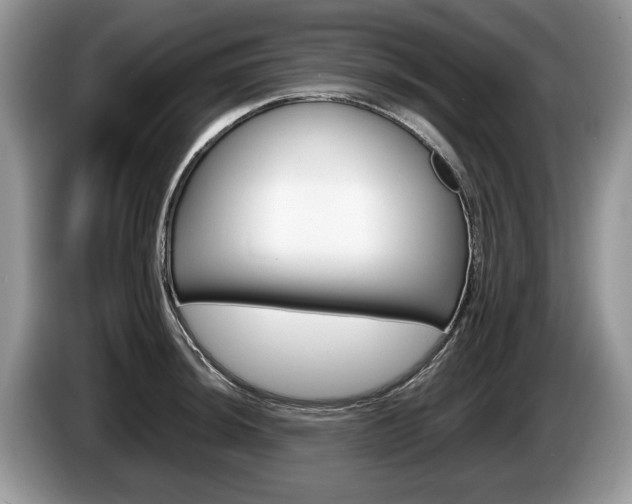 X0000087601044200704271039