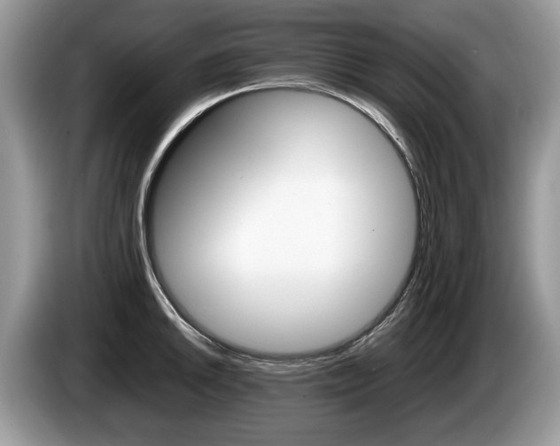 X0000087601046200704271039