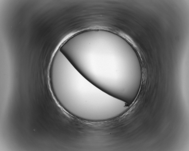 X0000087601048200704271039