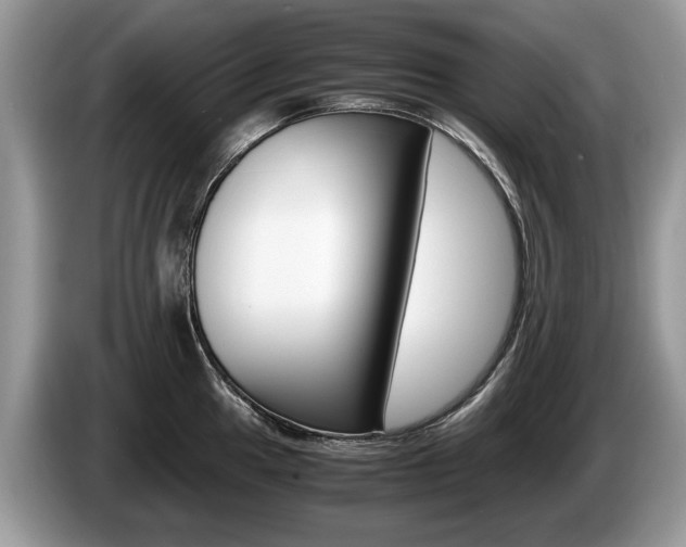 X0000087601049200704271040