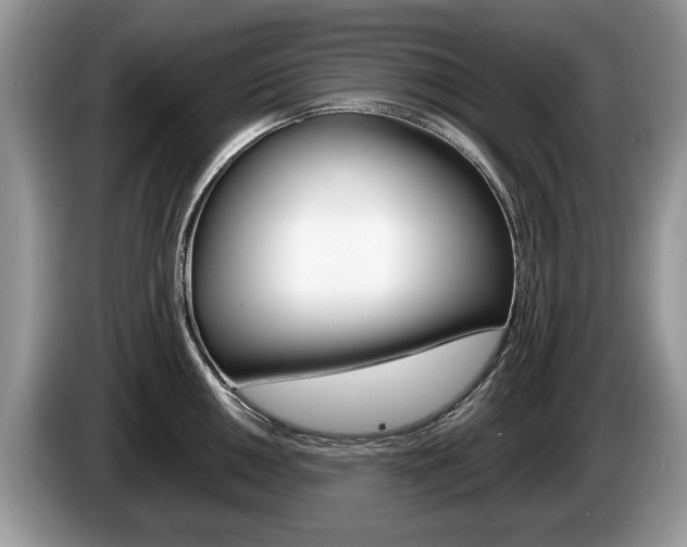 X0000087601050200704271040
