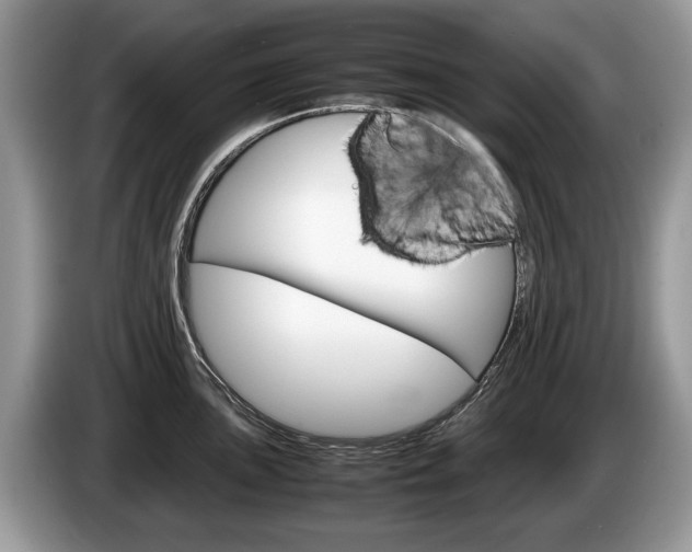 X0000087601051200704271040