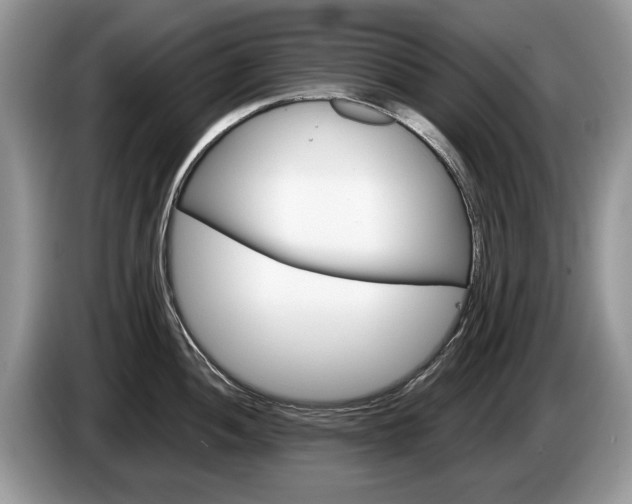 X0000087601052200704271040