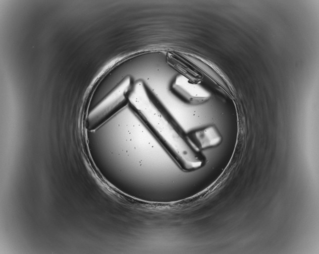 X0000087601054200704271040